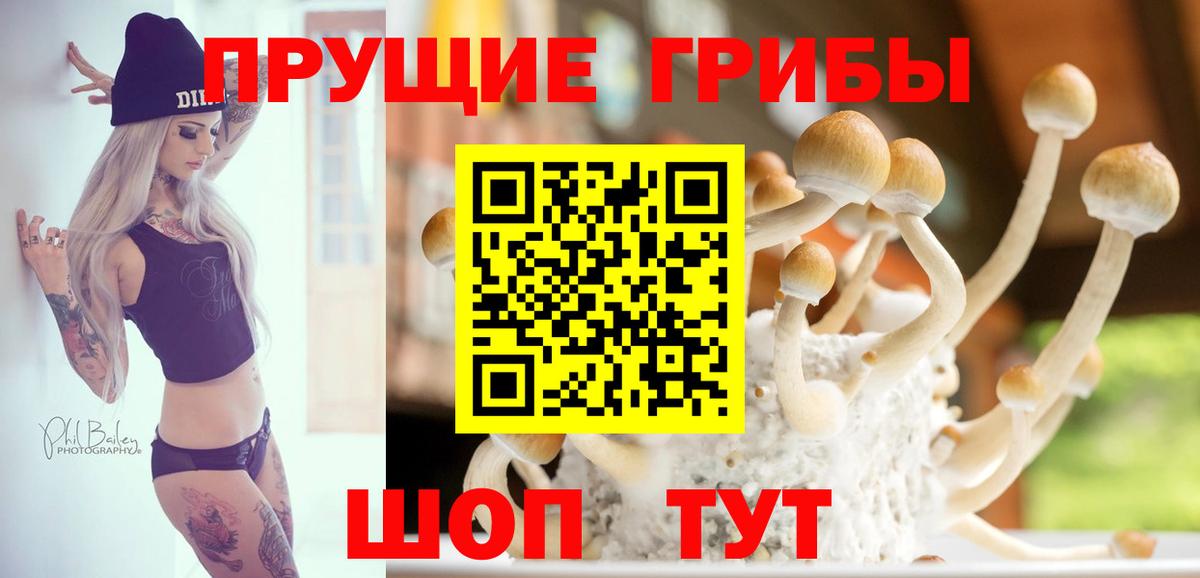 Галлюциногенные грибы мицелий  Вход с VPN  Псилоцибиновые грибы Magic Shrooms  Элиста 