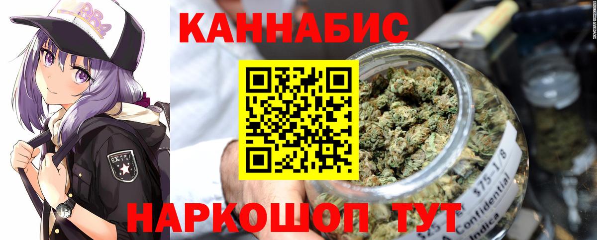 Бошки Шишки планчик Элиста